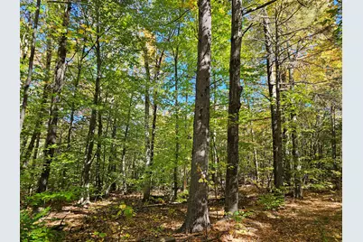 0 Canton Mountain Road, Canton, ME 04221 - Photo 68