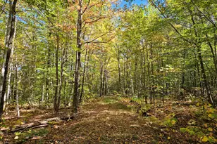 0 Canton Mountain Rd, Canton, ME 04221 - Photo 66