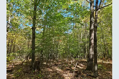 0 Canton Mountain Road, Canton, ME 04221 - Photo 72