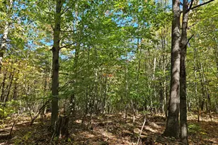 0 Canton Mountain Rd, Canton, ME 04221 - Photo 72