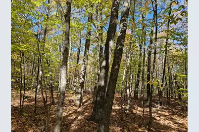 0 Canton Mountain Road, Canton, ME 04221 - Photo 90