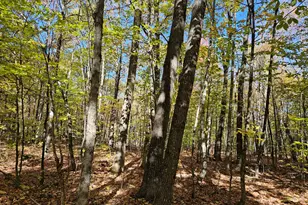 0 Canton Mountain Rd, Canton, ME 04221 - Photo 90