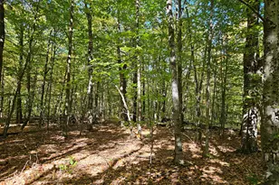 0 Canton Mountain Rd, Canton, ME 04221 - Photo 76