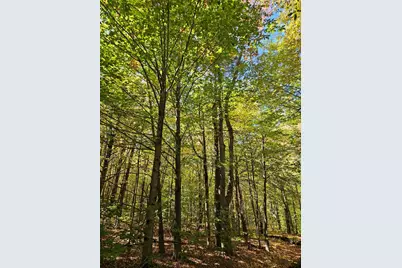 0 Canton Mountain Road, Canton, ME 04221 - Photo 78