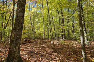 0 Canton Mountain Rd, Canton, ME 04221 - Photo 88