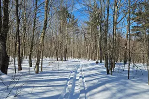 0 Canton Mountain Rd, Canton, ME 04221 - Photo 46