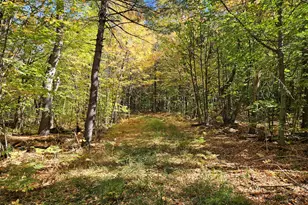 0 Canton Mountain Rd, Canton, ME 04221 - Photo 62