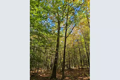 0 Canton Mountain Road, Canton, ME 04221 - Photo 80