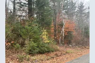 54-1 Glass Hill Road Road, Guilford, ME 04443 - Photo 6