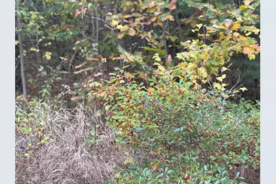 00 Beechland Road, Ellsworth, ME 04605 - Photo 18