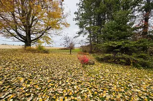 164 Baird Rd, Caribou, ME 04736 - Photo 8