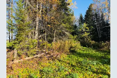 M2 L39-1 Pease Road, Mapleton, ME 04757 - Photo 6
