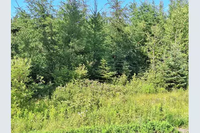 Lot 36-D Grimes Road, Caribou, ME 04736 - Photo 16