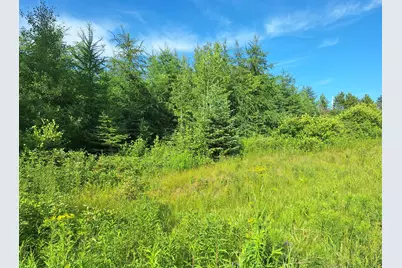 Lot 36-D Grimes Road, Caribou, ME 04736 - Photo 20