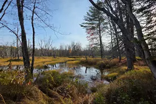 12 Maple Grove Rd, Lee, ME 04455 - Photo 36