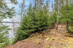 11 Quiet Shore Rd, Steuben, ME 04680 - Photo 20