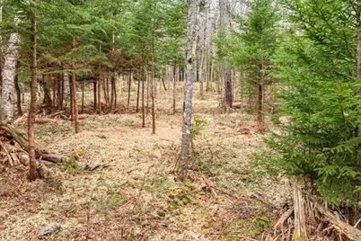 11 Quiet  Shore Road, Steuben, ME 04680 - Photo 14