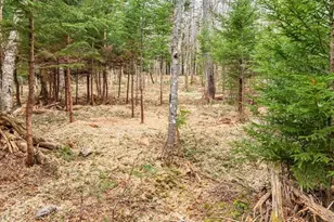 11 Quiet Shore Rd, Steuben, ME 04680 - Photo 14