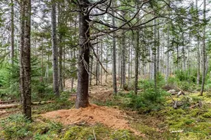 11 Quiet Shore Rd, Steuben, ME 04680 - Photo 26
