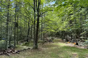 267 Guilford Rd, Cambridge, ME 04923 - Photo 44