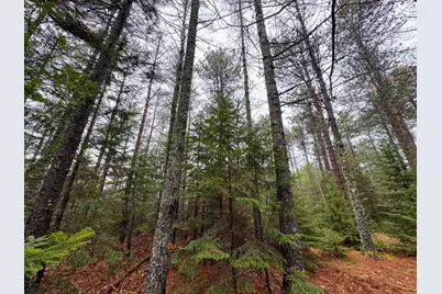 43 Fleming Road, Bethel, ME 04217 - Photo 42
