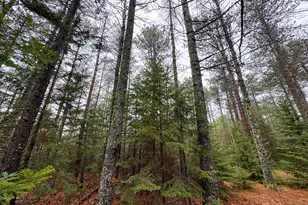 43 Fleming Rd, Bethel, ME 04217 - Photo 42