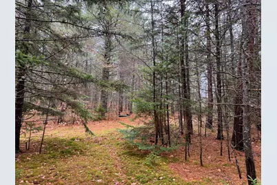 43 Fleming Road, Bethel, ME 04217 - Photo 44