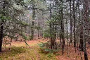 43 Fleming Rd, Bethel, ME 04217 - Photo 44
