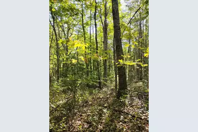 2 Bicknell Road, Belmont, ME 04952 - Photo 1