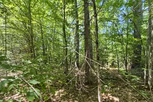 Mu23 L19B Holley Rd, Farmington, ME 04938 - Photo 1