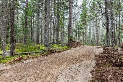 Lot 11 Quiet  Shore Road, Steuben, ME 04680 - Photo 4