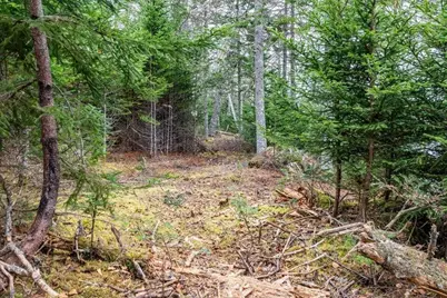 Lot 11 Quiet  Shore Road, Steuben, ME 04680 - Photo 16