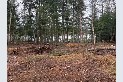 Lot 11 Quiet  Shore Road, Steuben, ME 04680 - Photo 10