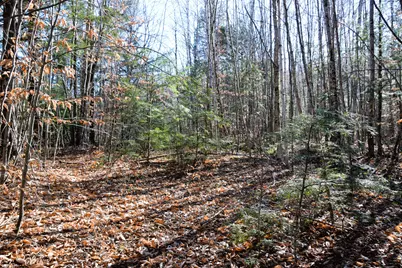M7 L19-5 Pine Bluff Road, Embden, ME 04958 - Photo 6