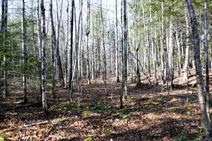 M7 L19-5 Pine Bluff Rd, Embden, ME 04958 - Photo 1