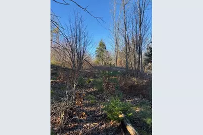M 6, L 32 Main Street, Wayne, ME 04284 - Photo 8