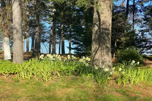 33 + 30 Taylor Rd, Westport, ME 04578 - Photo 66