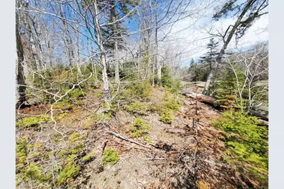 L 132 Pirates Cove Road, Stockton Springs, ME 04981 - Photo 22