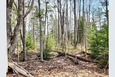 L 132 Pirates Cove Road, Stockton Springs, ME 04981 - Photo 28