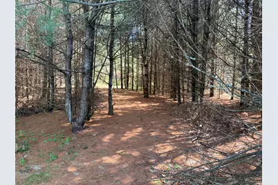 Lot 4 Emery Road, Parsonsfield, ME 04047 - Photo 10