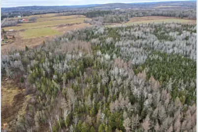 481 Plante Road, Caribou, ME 04736 - Photo 10