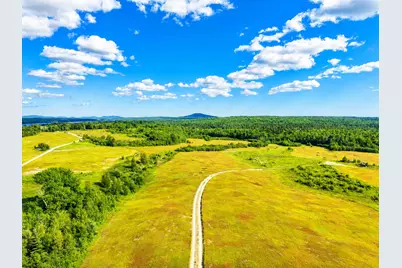 Map19Lot28 Leach Road, Penobscot, ME 04476 - Photo 4