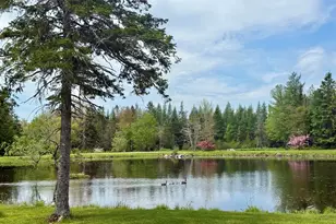 12 Morgan Rd, Pembroke, ME 04666 - Photo 28