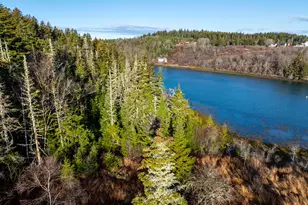 198 Destiny Bay Rd, Cutler, ME 04626 - Photo 6