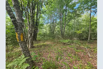 M2, L4 Off Sacarap Road, Columbia Falls, ME 04623 - Photo 12