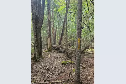 M2, L4 Off Sacarap Road, Columbia Falls, ME 04623 - Photo 8