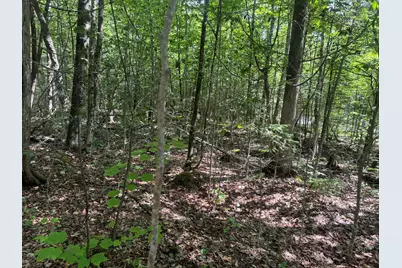Lot 7 Curtis Farm Road, Lincoln, ME 04457 - Photo 4