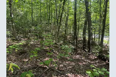 Lot 7 Curtis Farm Road, Lincoln, ME 04457 - Photo 6