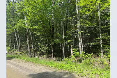 Lot 7 Curtis Farm Road, Lincoln, ME 04457 - Photo 2