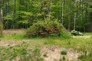 51 Wyman Hill Rd, Rumford, ME 04276 - Photo 14
